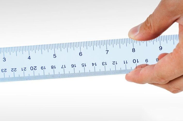 norms for penis thickness and length in a teenager