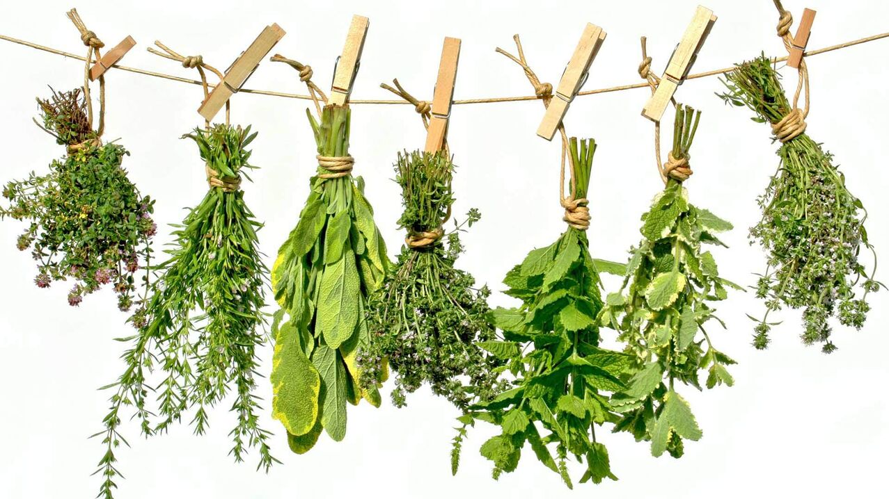 Herbs that promote penis growth