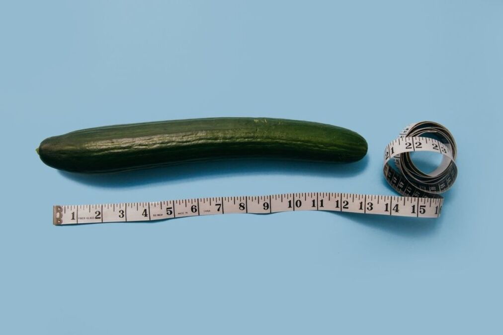 Measurement of penis size using a cucumber pattern